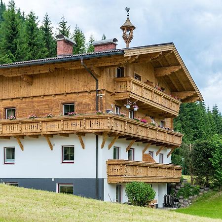 Kesselgrubs Apartements Ski & Badeglueck Eben Im Pongau Exterior foto