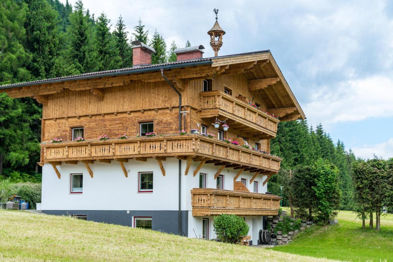 Kesselgrubs Apartements Ski & Badeglueck Eben Im Pongau Exterior foto